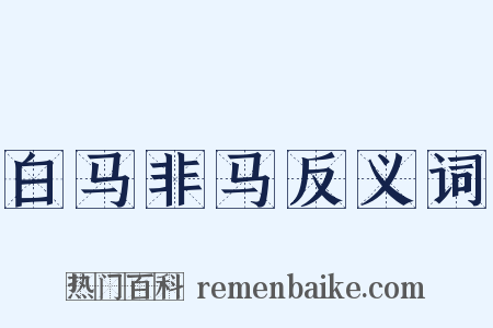白马非马反义词是什么意思的图片